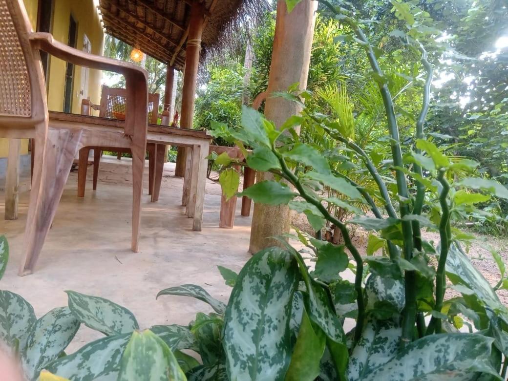 Hotel Kelaya At Hiriketiya Collection Dikwella Exterior foto